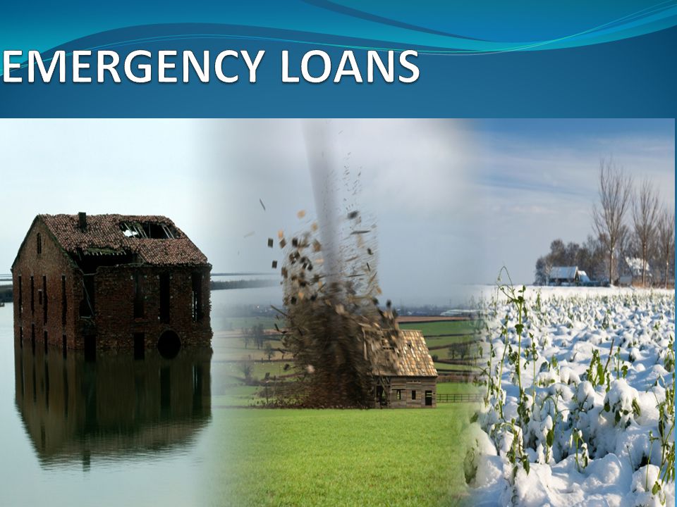 FSA Emergency Farm Loans