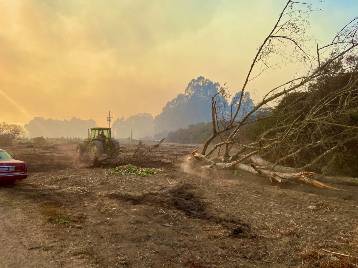 New Podcast Season: Farmer Stories of Wildfire Recovery & Preparedness