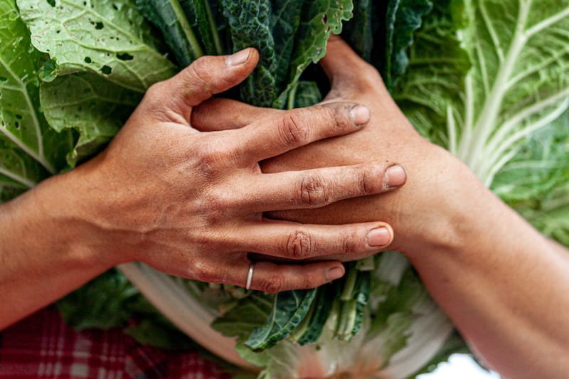 hands-vegitables-home