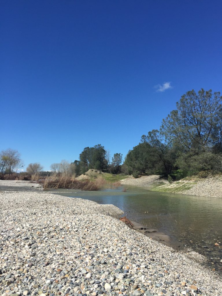 Image of the Yuba River at Long Bar with sky and trees