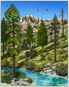 Action Alert: Support Healthy Yuba Forests for Water, Wildlife & People